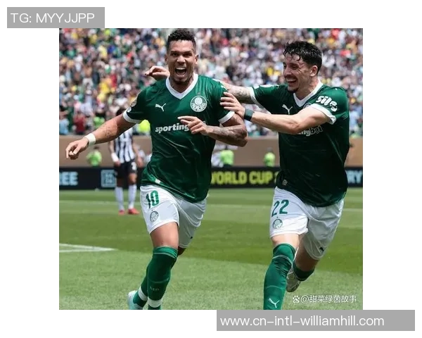 帕尔梅拉斯与巴拉纳竞技历史交锋记录分析及战绩回顾